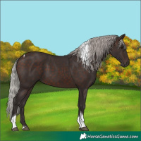 Horse Color:Silver Brown Tobiano 