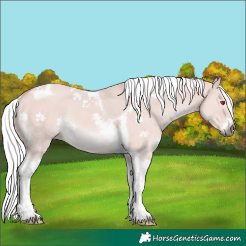 Horse Color:Platinum Silver Bay Dun Tobiano Rabicano
