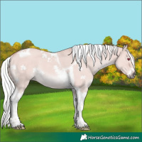 Horse Color:Platinum Silver Bay Dun Tobiano Rabicano 