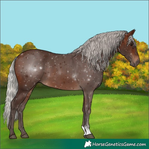 Horse Color:Silver Brown