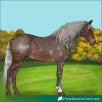 Horse Color:Silver Brown 