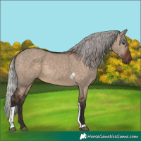 Horse Color:Silver Brown Dun Tobiano 