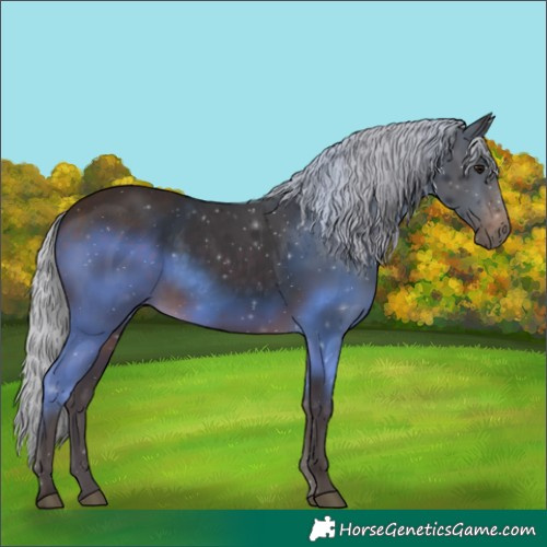 Horse Color:Silver Brown Rabicano