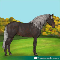 Horse Color:Silver Brown