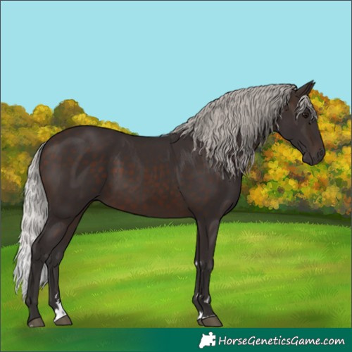Horse Color:Silver Brown 