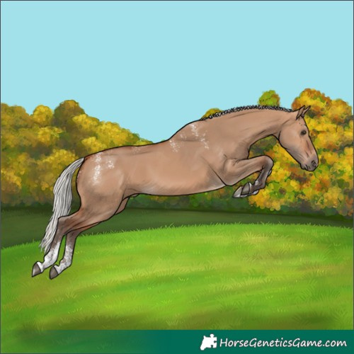 Horse Color:Powder White Silver Bay Dun 