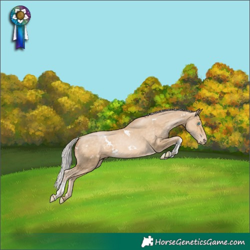 Horse Color:White Spotted Silver Buckskin Pearl Tobiano Varnish 