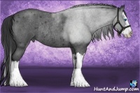 Horse Color:Smoky Blue Roan Splash Rabicano 