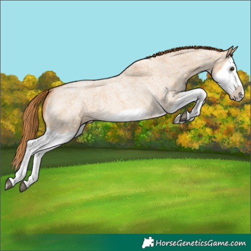 Horse Color:Red Dun Roan Splash Frame Rabicano
