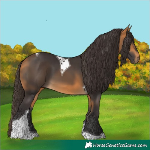 Horse Color:Buckskin Tobiano 