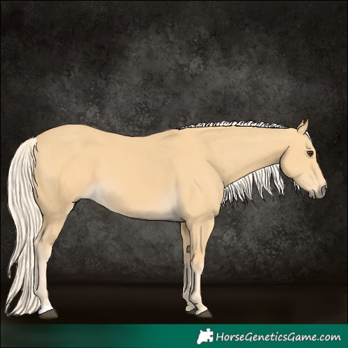 Horse Color:Palomino