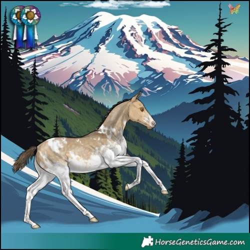 Horse Color:White Spotted Buckskin Dun Appaloosa Rabicano 