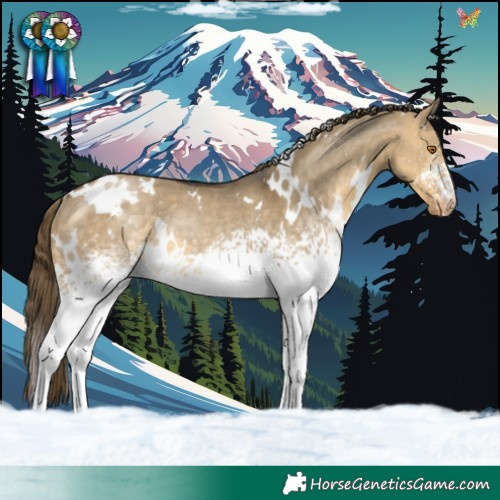 Horse Color:White Spotted Buckskin Dun Varnish Rabicano