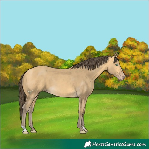 Horse Color:Amber Cream Champagne