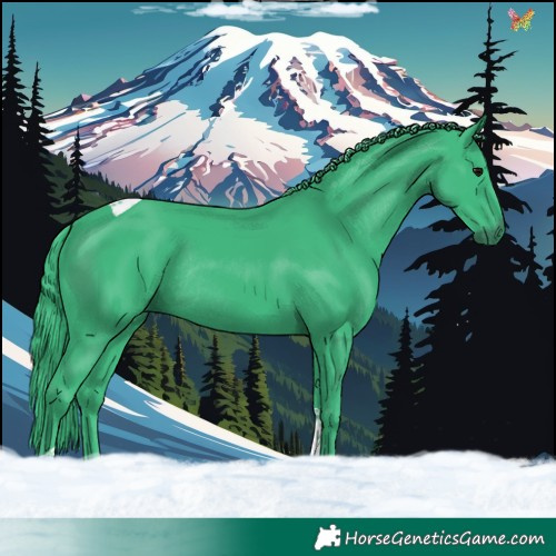 Horse Color:Watercolor Black Tobiano Rabicano