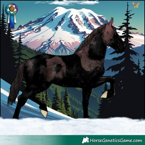 Horse Color:Void Brown Dun Sabino Splash Tobiano