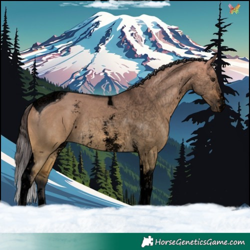 Horse Color:Void Buckskin Dun Sabino Tobiano Rabicano 
