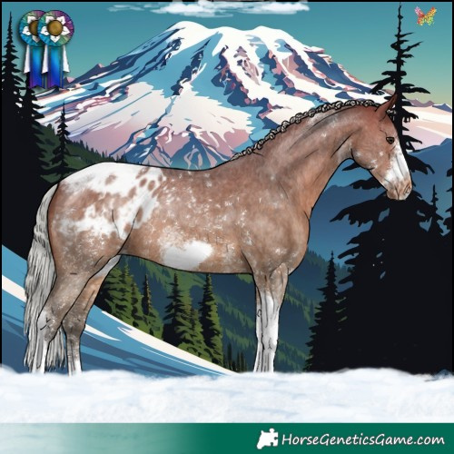 Horse Color:Silver Brown Dun Sabino Tobiano Frame Appaloosa Rabicano Brindle 