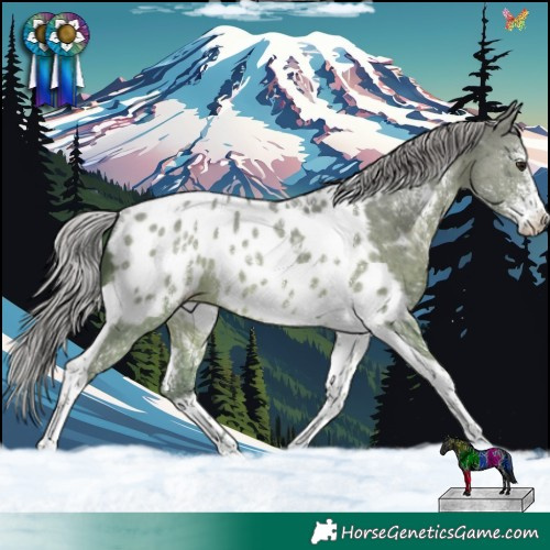Horse Color:Silver Brown Dun Sabino Tobiano Appaloosa Rabicano