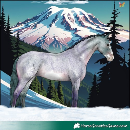 Horse Color:Watercolor Blue Roan Frame Rabicano