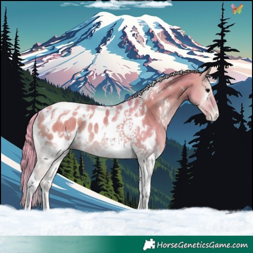 Horse Color:Watercolor White Spotted Smoky Grullo Onyx Tobiano Appaloosa Rabicano