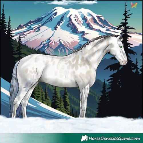 Horse Color:Watercolor White Spotted Smoky Grullo Pearl Onyx Appaloosa Rabicano
