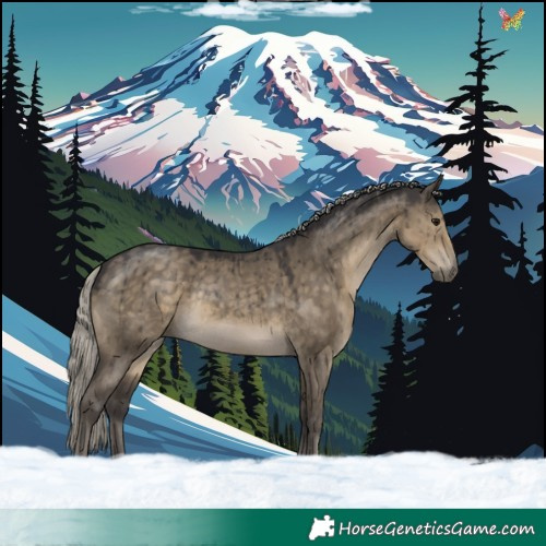 Horse Color:Silver Smoky Grullo Rabicano Brindle