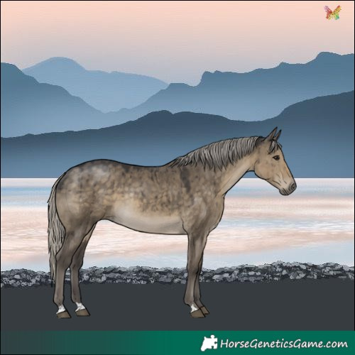 Horse Color:Silver Smoky Grullo Rabicano Brindle 