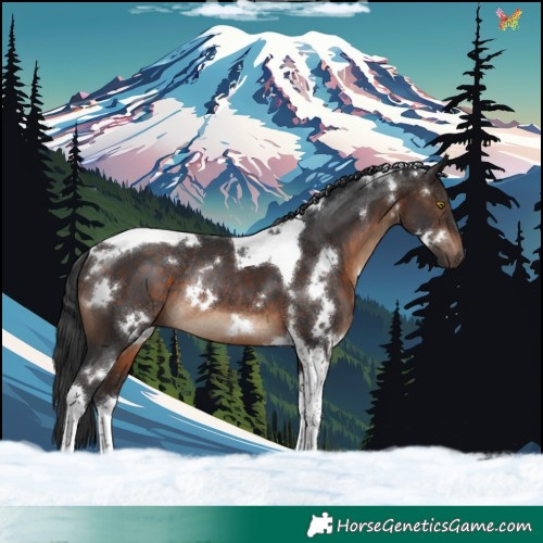 Horse Color:White Spotted Brown Tobiano Rabicano 