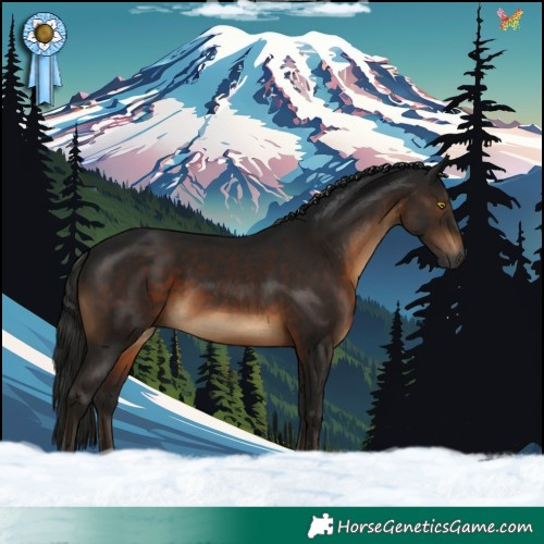 Horse Color:Gray Brown 