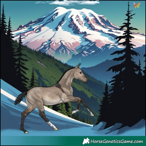 Horse Color:Brown Dun 