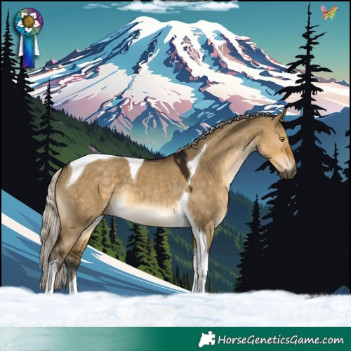 Horse Color:Gray Silver Buckskin Dun Tobiano Rabicano 