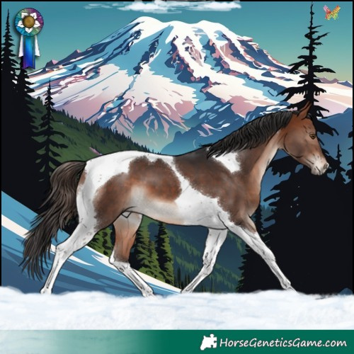 Horse Color:Bay Mushroom Tobiano 
