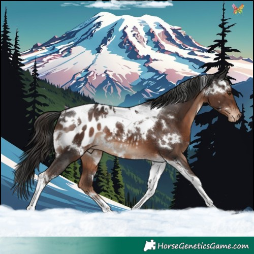 Horse Color:White Spotted Liver Chestnut Tobiano Appaloosa Rabicano 
