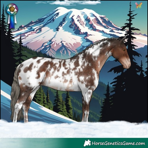 Horse Color:White Spotted Liver Chestnut Mushroom Appaloosa Rabicano 