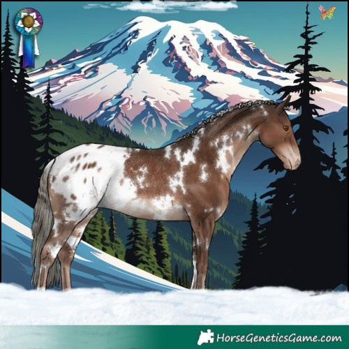 Horse Color:White Spotted Liver Chestnut Mushroom Appaloosa Rabicano 