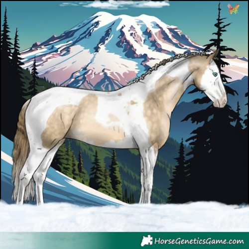 Horse Color:Buckskin Pearl Splash Tobiano 