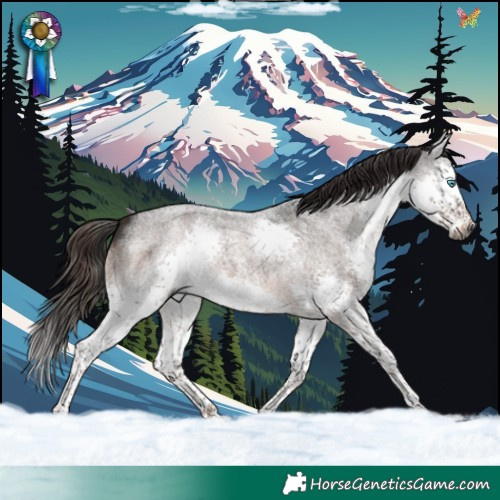 Horse Color:Gray Liver Red Roan Splash 