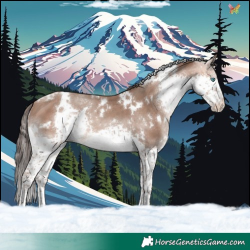 Horse Color:White Spotted Amber Champagne Sabino Splash 