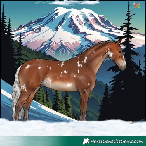 Horse Color:White Spotted Silver Bay