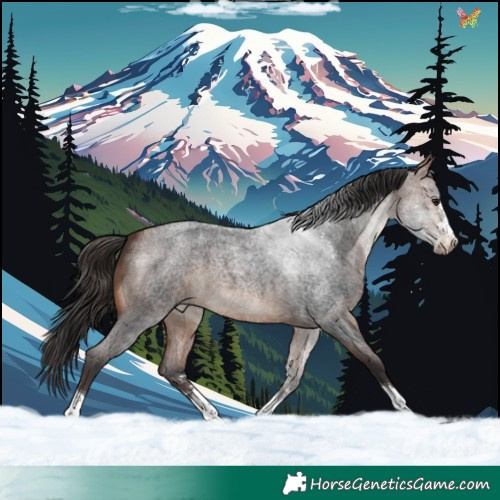 Horse Color:Bay Roan