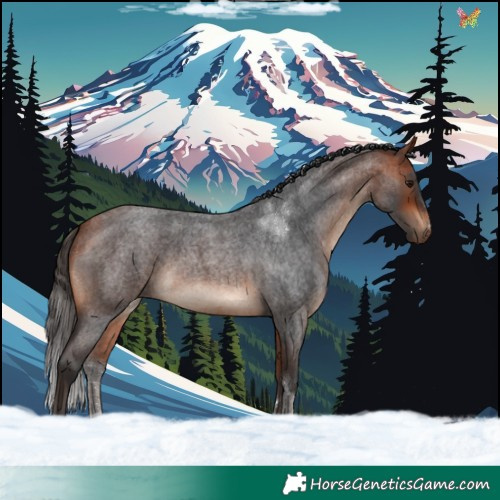 Horse Color:Bay Roan 