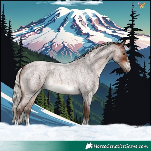 Horse Color:Silver Brown Roan 