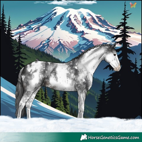 Horse Color:White Spotted Brown 