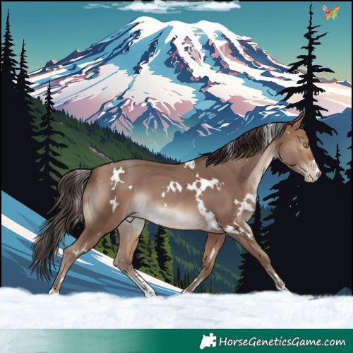 Horse Color:White Spotted Sable Champagne
