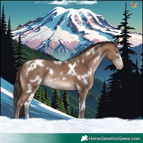 Horse Color:White Spotted Sable Champagne 