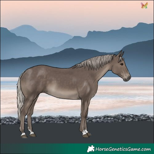 Horse Color:Silver Black 