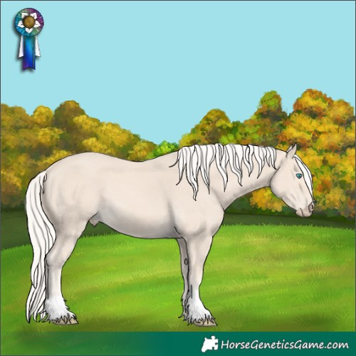 Horse Color:Cremello 