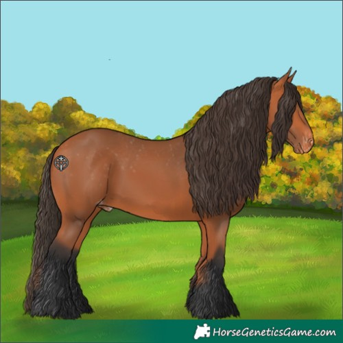 Horse Color:Bay Skewed Appaloosa