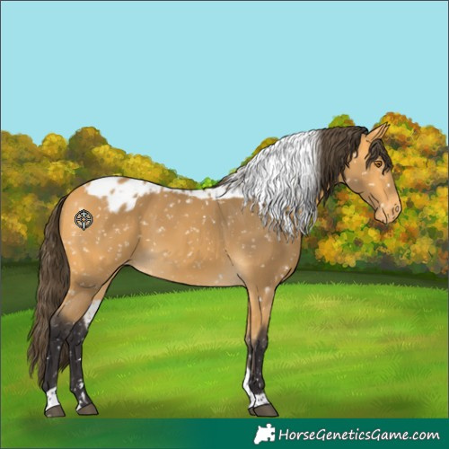 Horse Color:Buckskin Tobiano Skewed LP Spotted